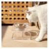 Ameeklion Single Elevated Glass Pet Bowl