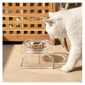 Ameeklion Single Elevated Glass Pet Bowl