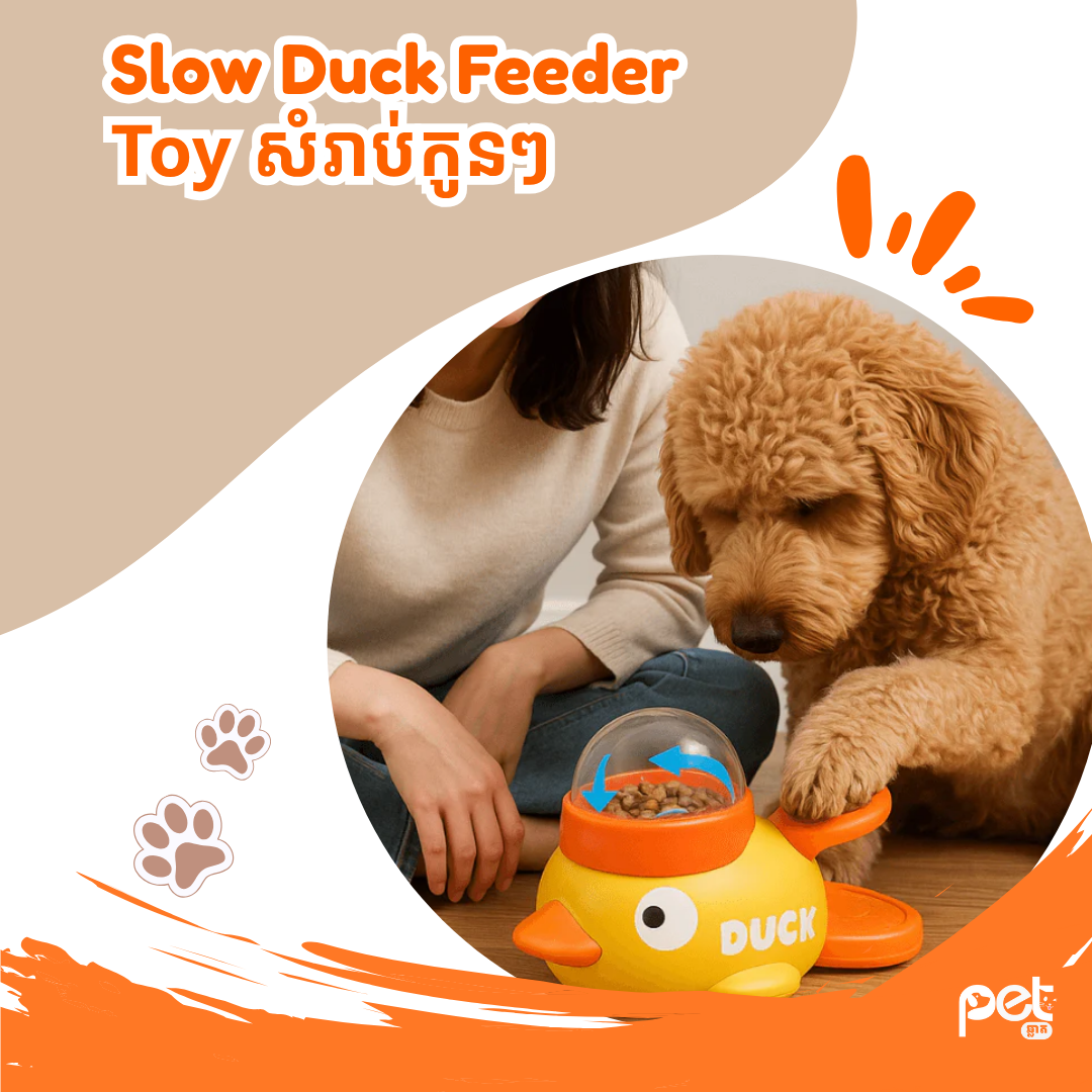 Duck Interactive Slow Feeder