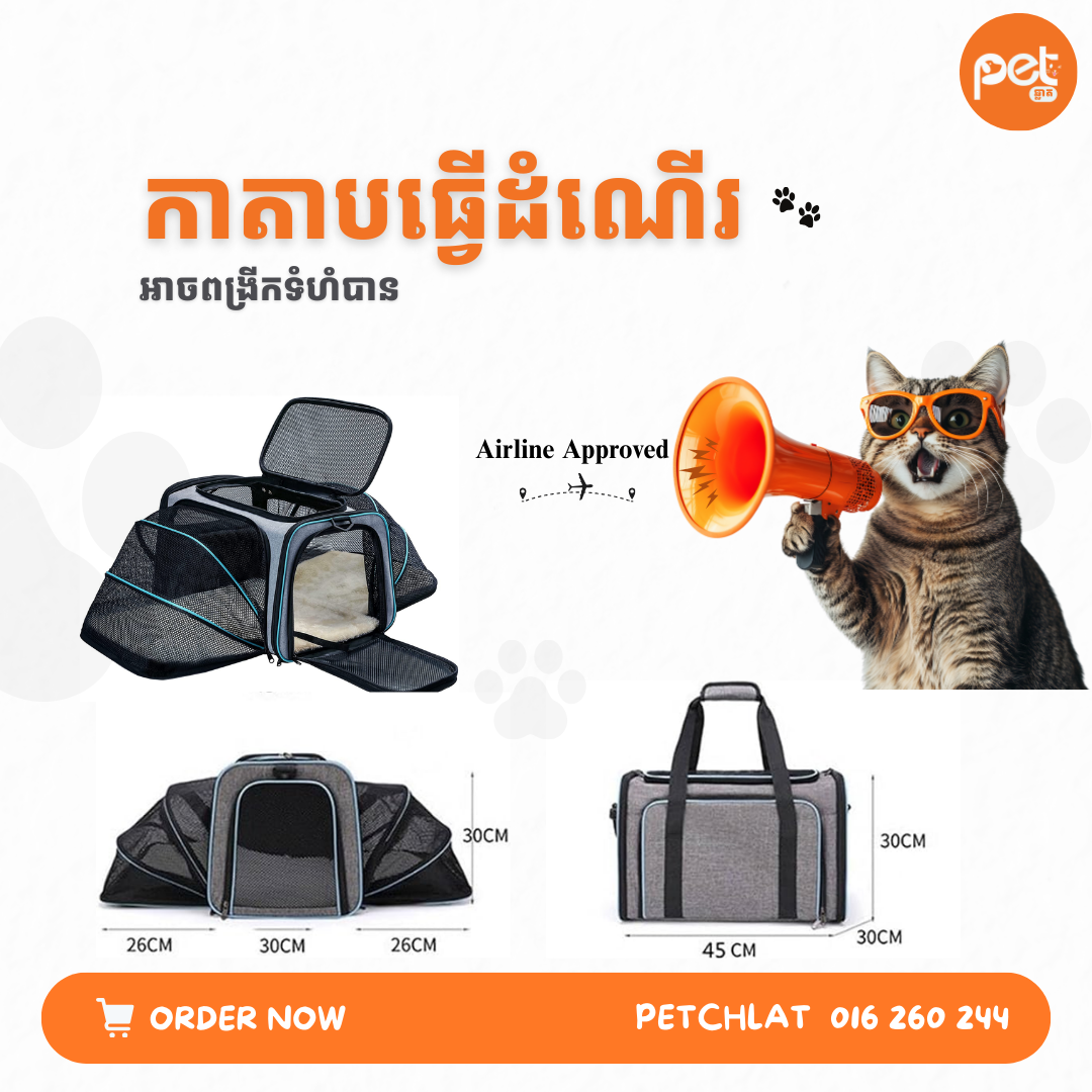 Expandable Airline-Approved Pet Carrier