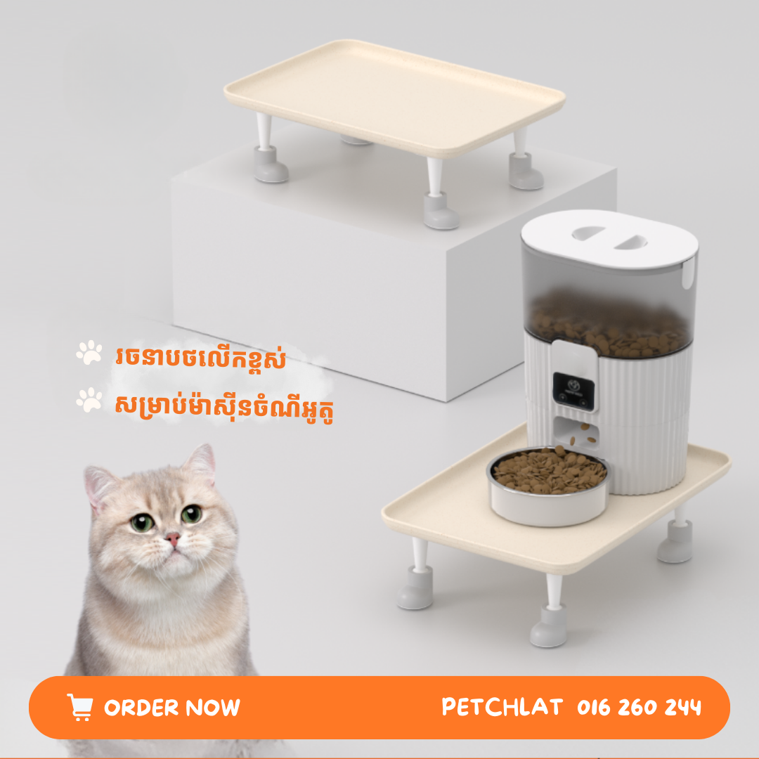 Minimalist Elevated Pet Feeding Platform - Image 3