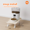 Minimalist Elevated Pet Feeding Platform