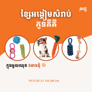 Puppy Cotton Rope Chew Toy Set (6-Pack)