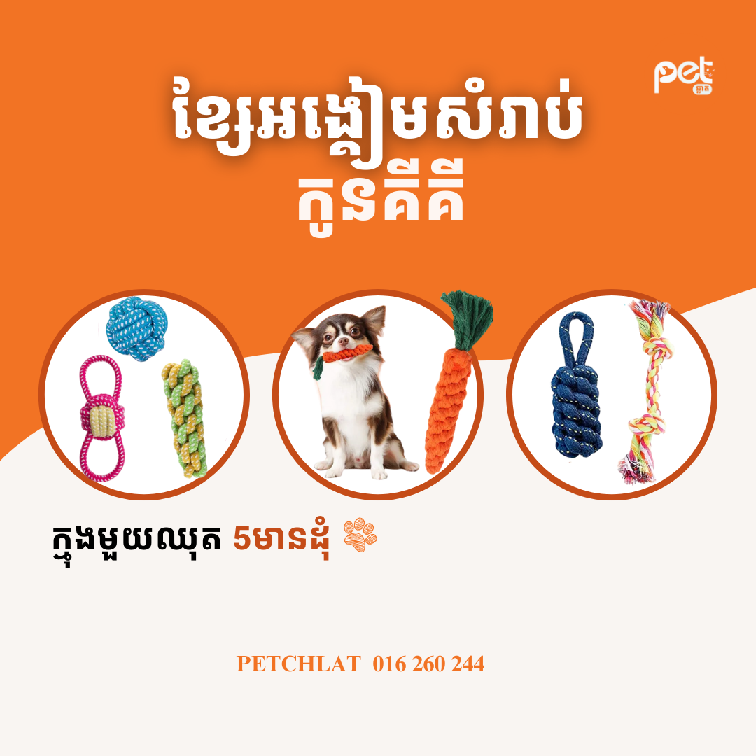 Puppy Cotton Rope Chew Toy Set (6-Pack)