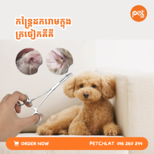 Precision Pet Ear Hair Removal Tweezer