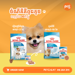 Royal Canin Mini Breed Growth & Development Range