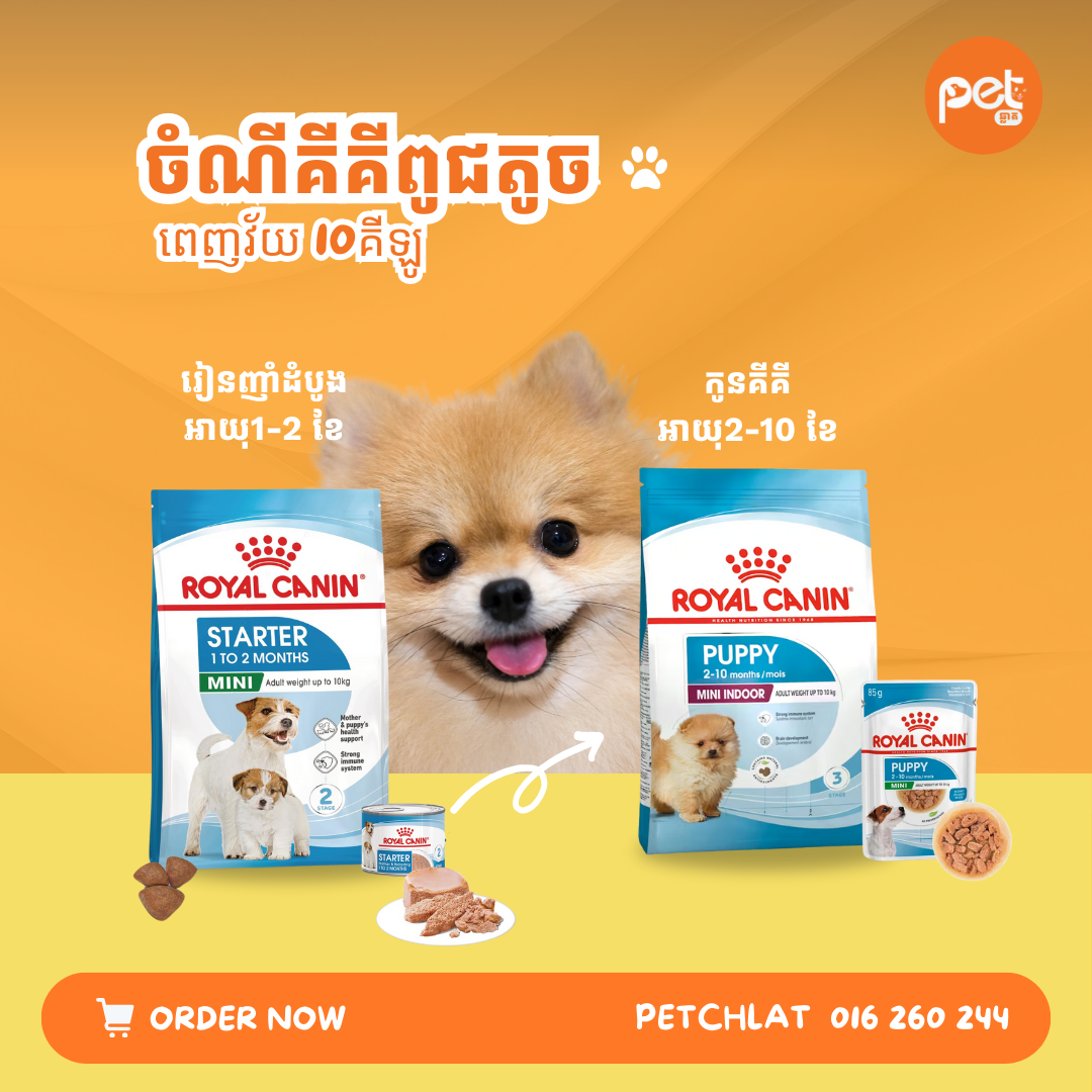 Royal Canin Mini Breed Growth & Development Range