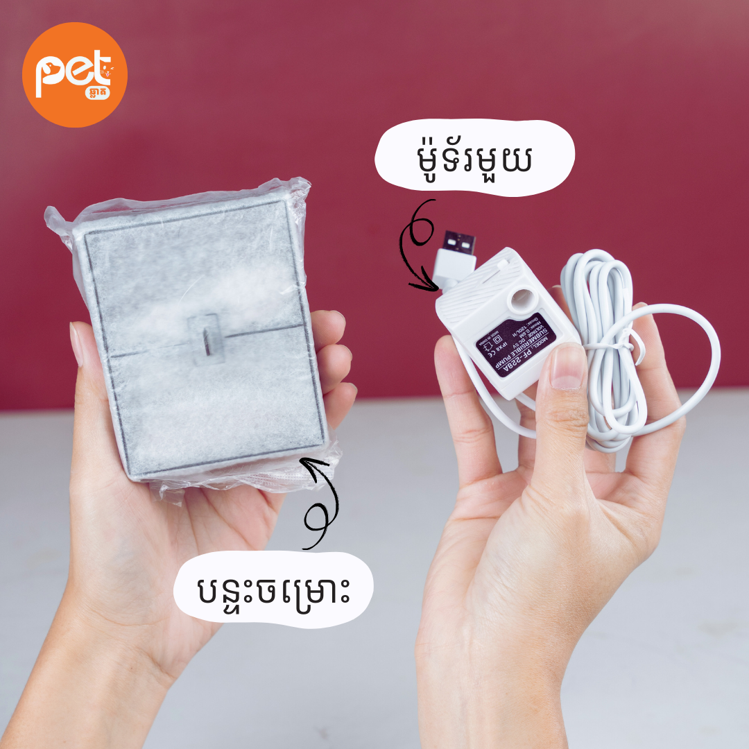 Ultra-Quiet Pet Water Fountain (2.8L) - Image 3