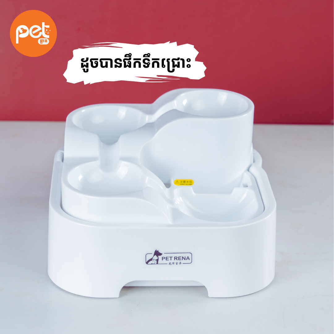 Ultra-Quiet Pet Water Fountain (2.8L)