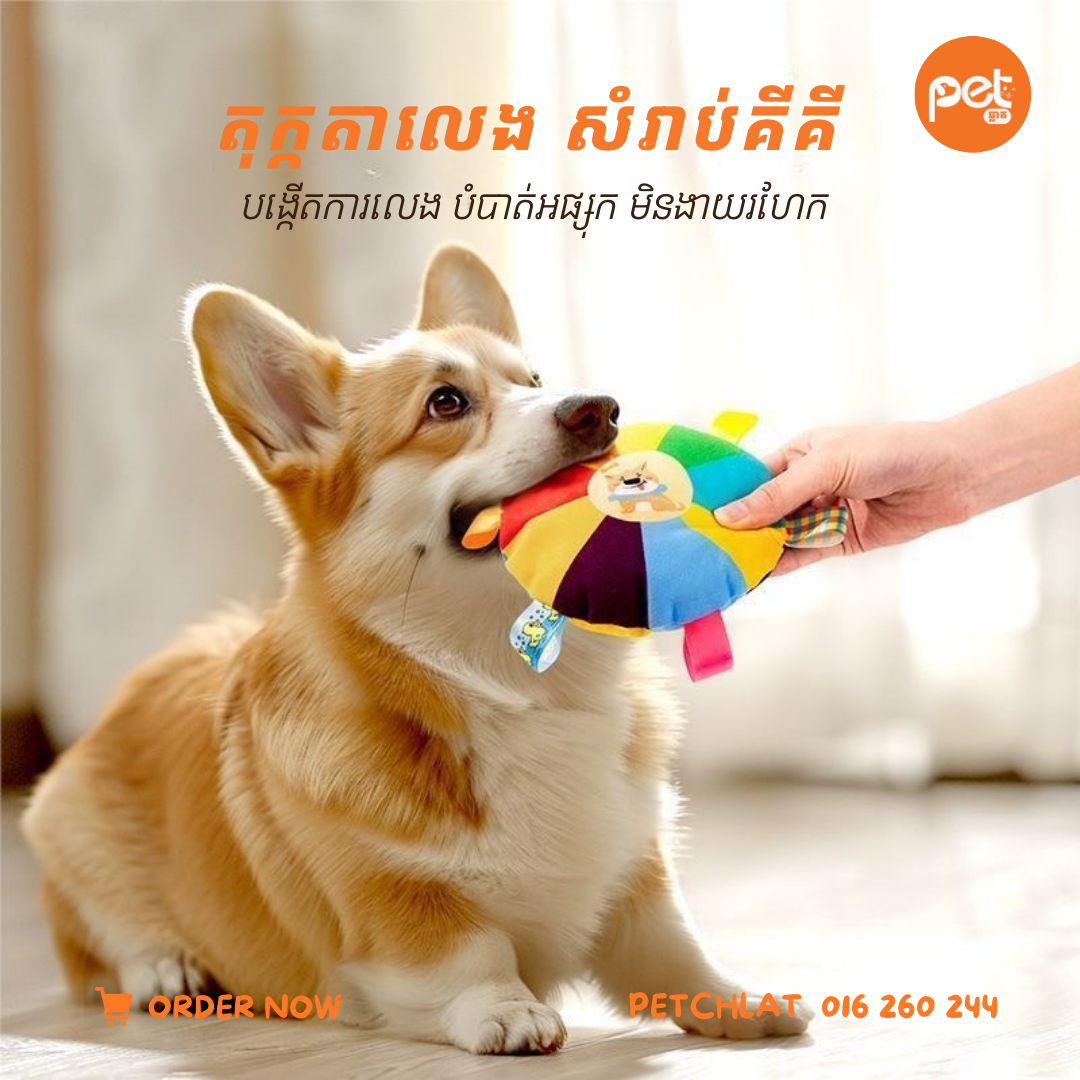 Colorful Round Squeaky Plush Toy for Dogs & Cats