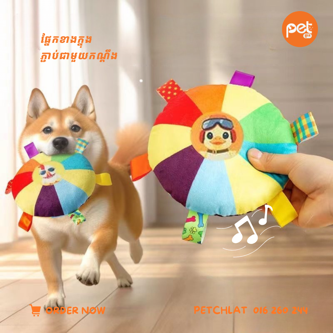 Colorful Round Squeaky Plush Toy for Dogs & Cats - Image 3