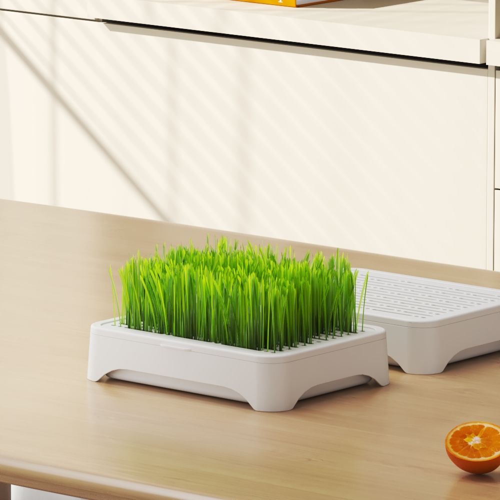 Hydroponic Cat Grass Growing Kit (Complete Set) - Image 3