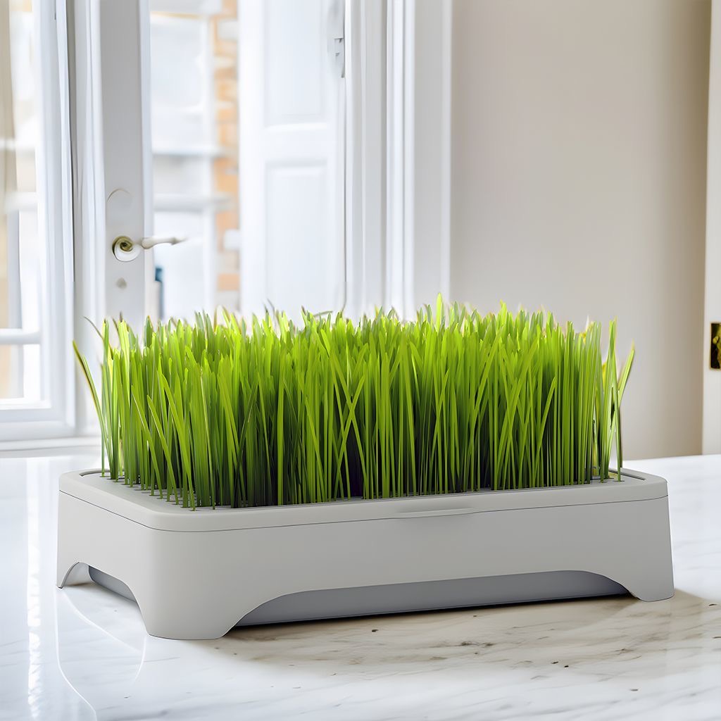 Hydroponic Cat Grass Growing Kit (Complete Set) - Image 4