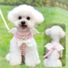 Angel Wings Padded Mesh Pet Harness & Leash Set