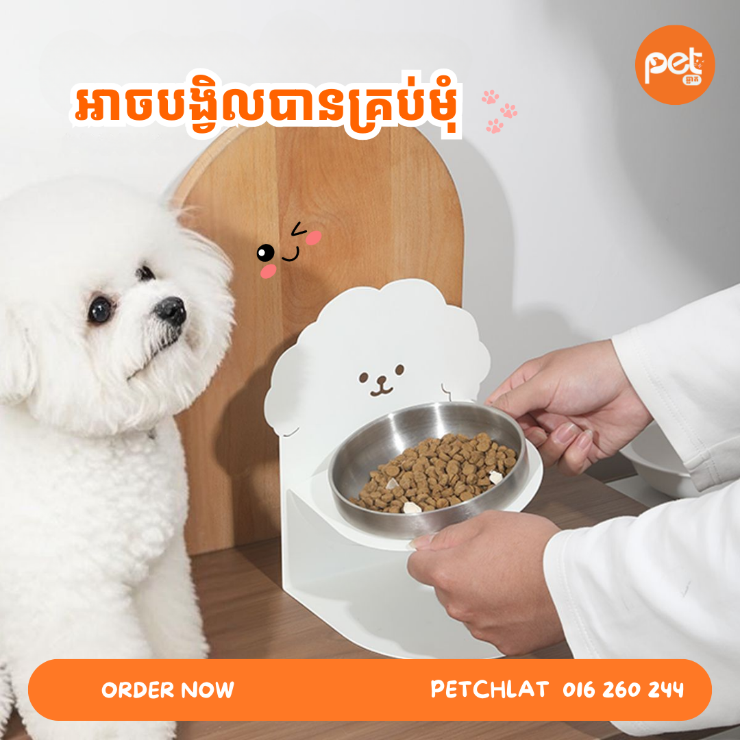 Magnetic Elevated Pet Bowl - Image 3