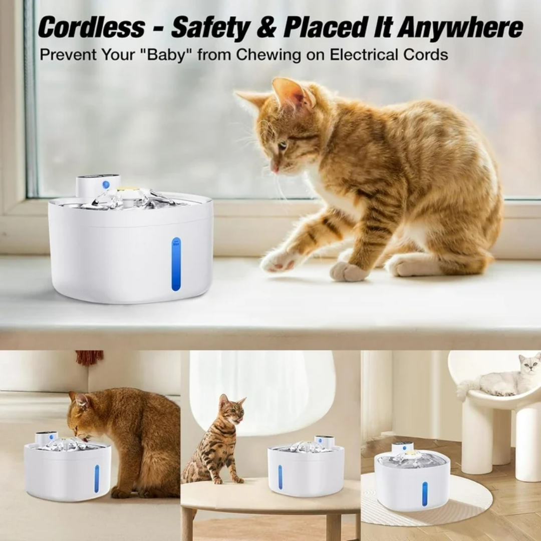 Chargeable Wireless Smart Pet Fountain (4000mAh) - Image 4