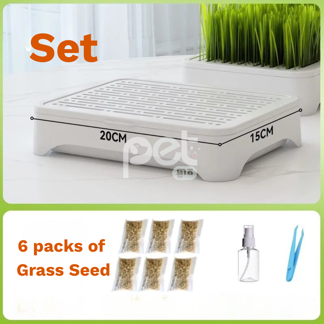 Hydroponic Cat Grass Growing Kit (Complete Set) - Image 2