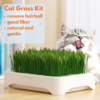 Hydroponic Cat Grass Growing Kit (Complete Set)