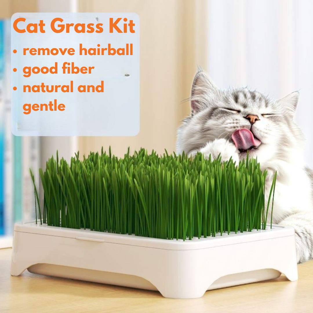 Hydroponic Cat Grass Growing Kit (Complete Set)