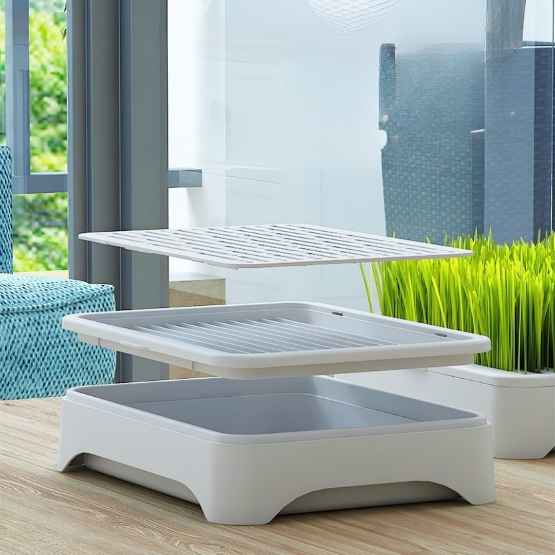 Hydroponic Cat Grass Growing Kit (Complete Set) - Image 6