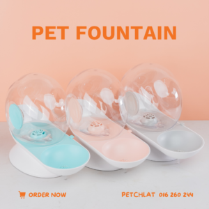 Snail Shape Pet Water Fountain (2.8L)