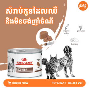 Royal Canin Veterinary Recovery Diet for Cats & Dogs (195g)
