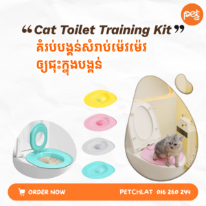 Professional Cat Toilet Training Kit