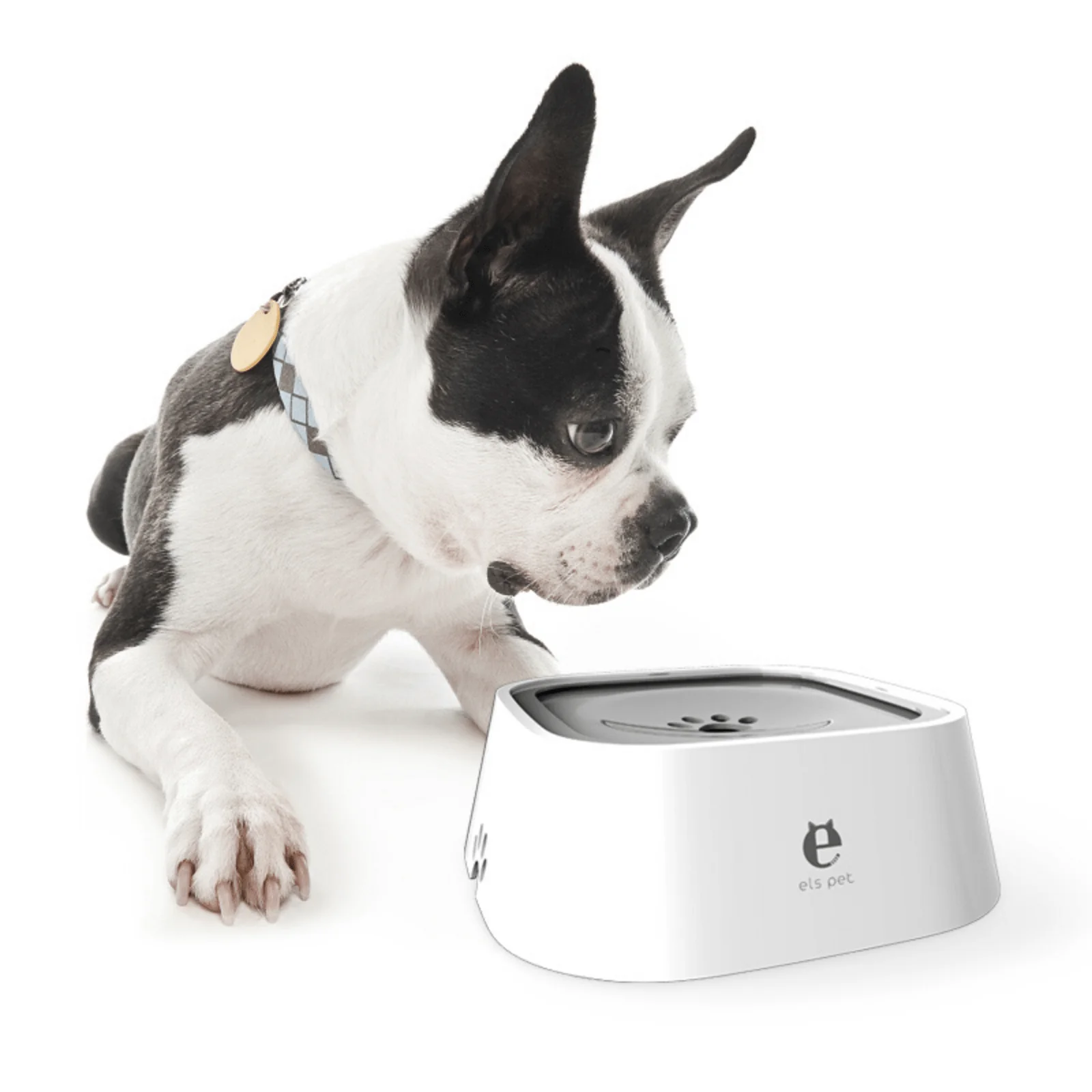 ELS PET Anti-Splash Water Bowl - Image 3