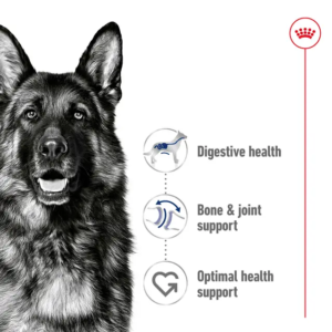 Alternative view of Royal Canin Maxi Health Nutrition (adult weight between 26kg and 44kg)