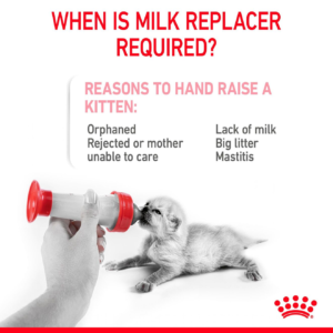 Alternative view of Royal Canin Milk Replacement for Puppies & Kittens