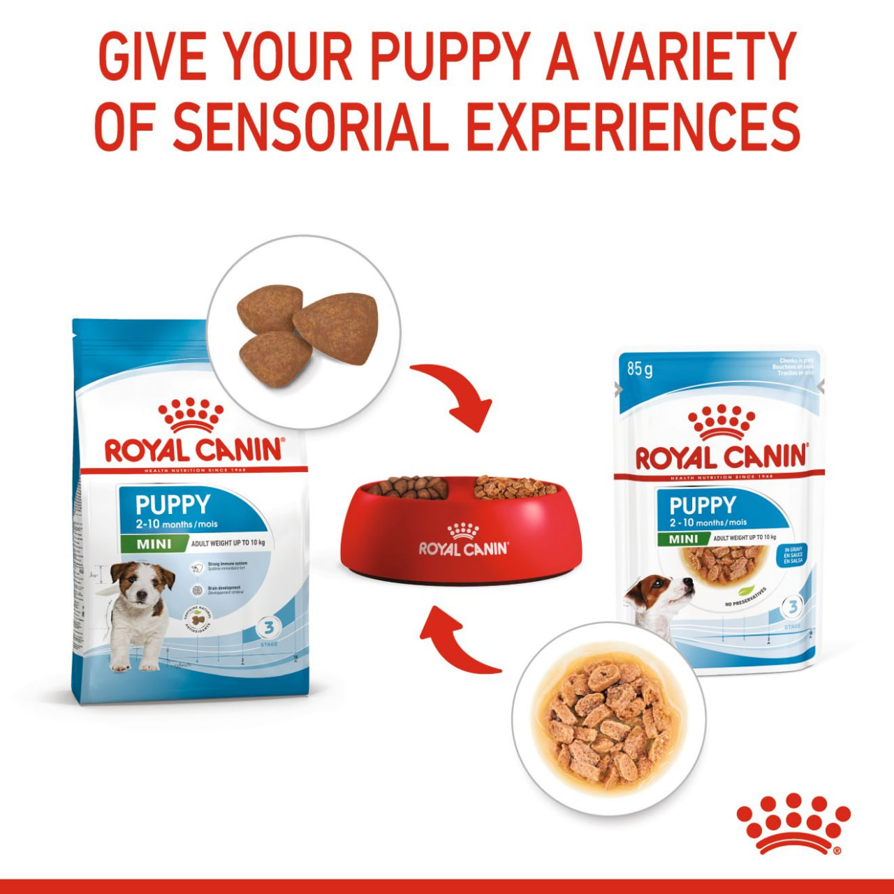 Royal Canin Mini Breed Growth & Development Range - Image 6