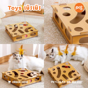 Interactive Wooden Cat IQ Puzzle Toy