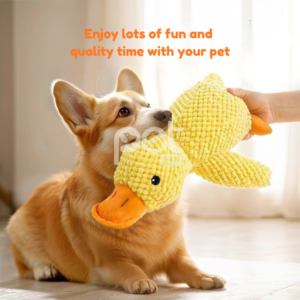 Plush Squeaky Duck Toy