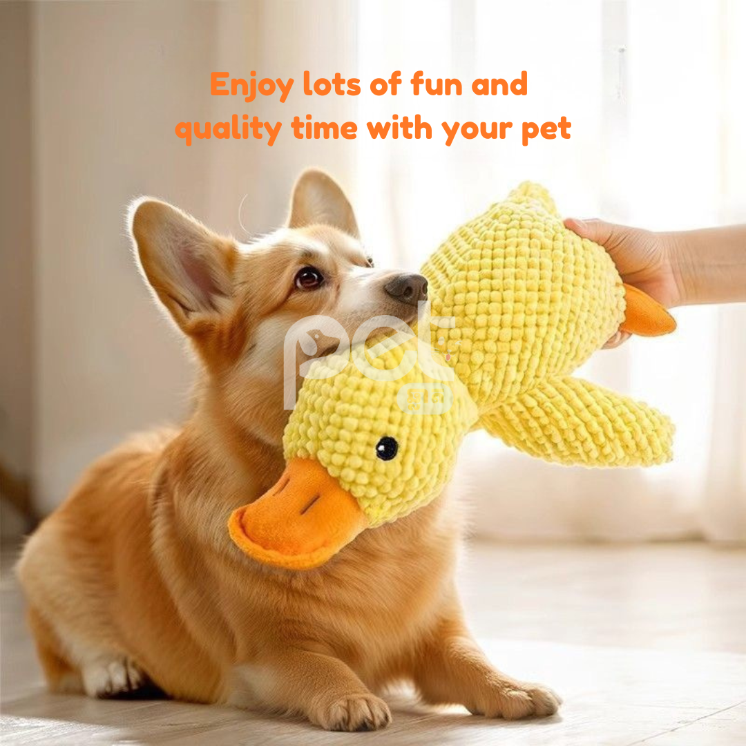 Plush Squeaky Duck Toy