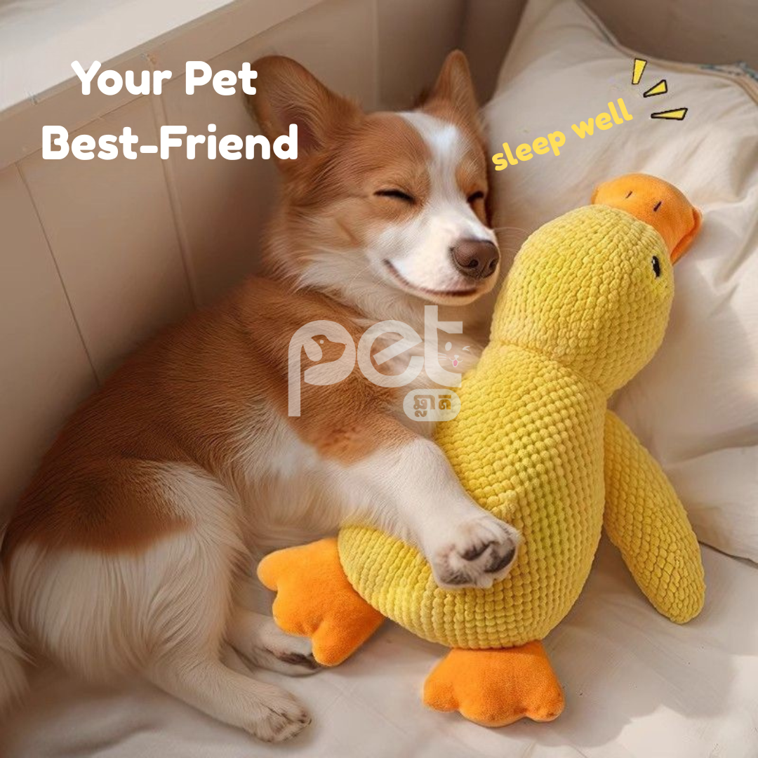 Plush Squeaky Duck Toy - Image 2