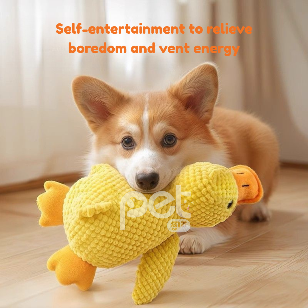 Plush Squeaky Duck Toy - Image 3