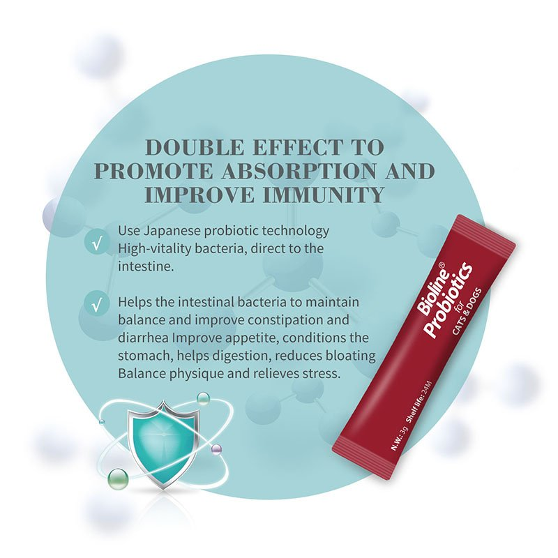 Bioline Probiotics for Cats & Dogs - Image 2