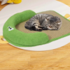  Pet Bed & Scratcher