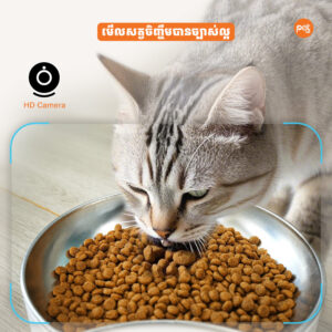 Alternative view of Kiki & Meow Dual-Camera Smart Pet Feeder, 6L