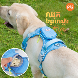 Premium No-Pull Tactical Harness & Leash Set