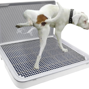Indoor Pet Potty Tray with Splash Wall