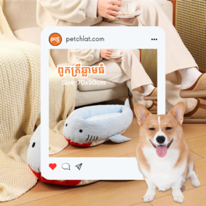 Deep Sea Dreams: The Giant Shark Pet Bed