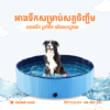 The Ultimate Foldable Pet Swimming Pool