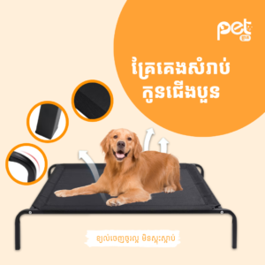 Premium Elevated Outdoor Pet Bed