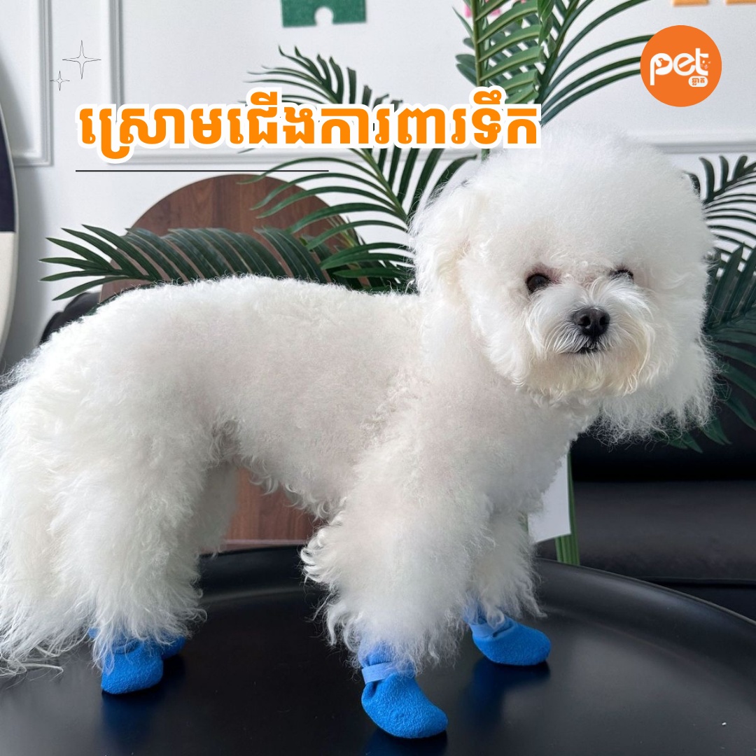 Anti-Slip Waterproof Dipped Pet Socks