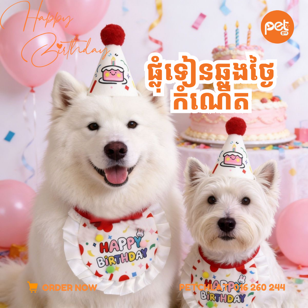 Pet Birthday Party Hat & Bib Set