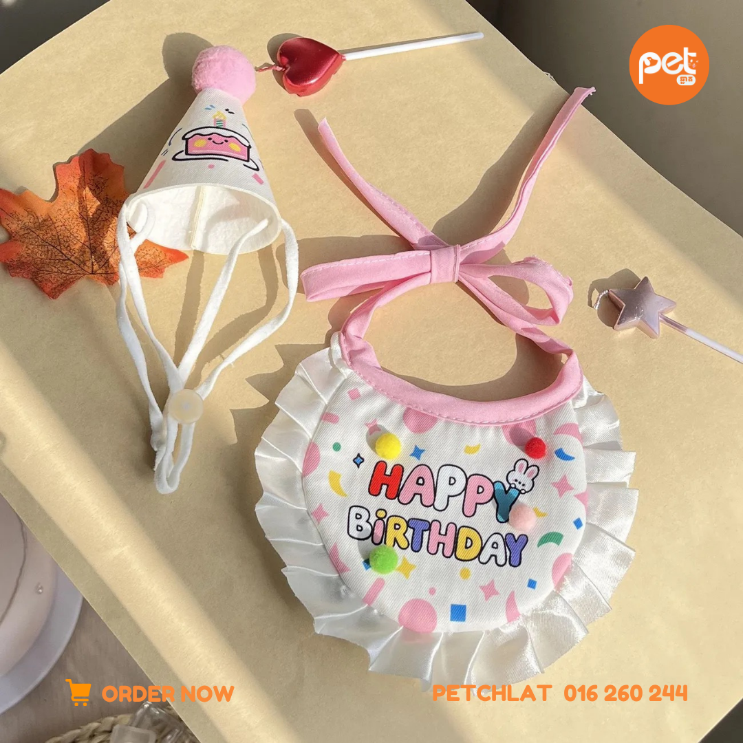 Pet Birthday Party Hat & Bib Set - Image 5