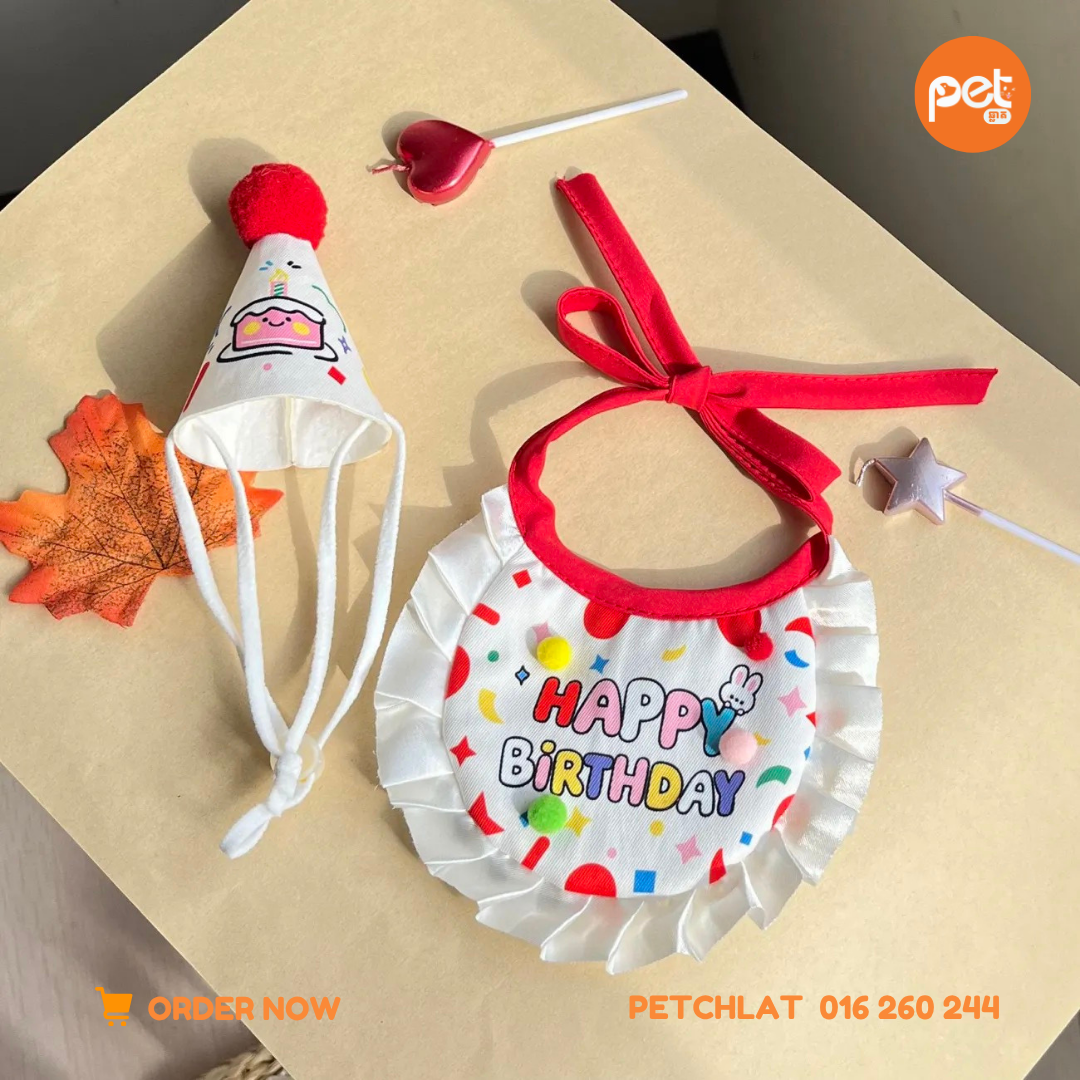 Pet Birthday Party Hat & Bib Set - Image 4
