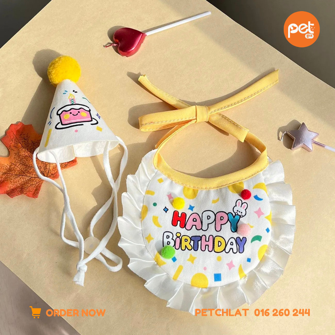 Pet Birthday Party Hat & Bib Set - Image 3