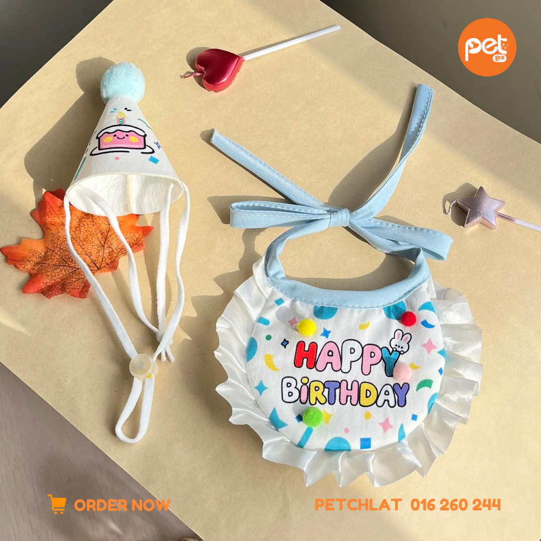 Pet Birthday Party Hat & Bib Set - Image 2